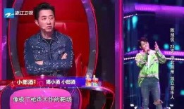 网红爆料中国好声音视频,中国好声音幕后精彩瞬间